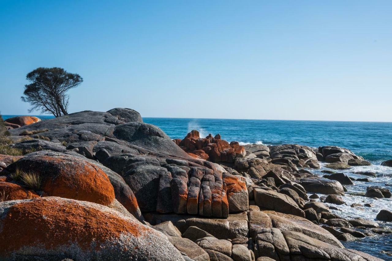 Villa Jasper Bay Of Fires Binalong Bay Exterior foto